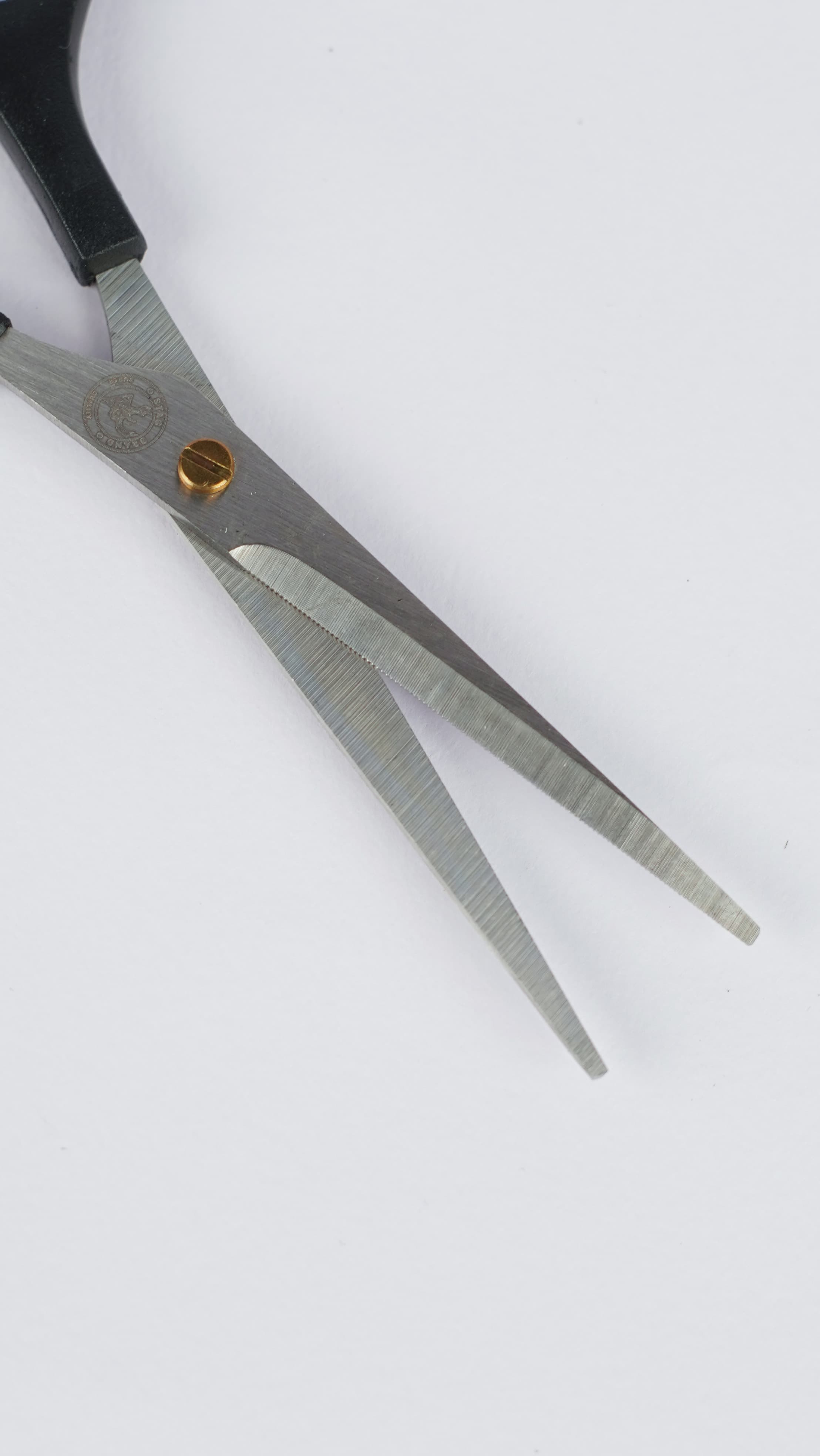Professional Small Scissor